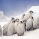Image for article titled Epic and intimate glimpses of nature from the Sony World Photography Awards